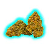 Qualicann Pre Rolled Banana Diesel