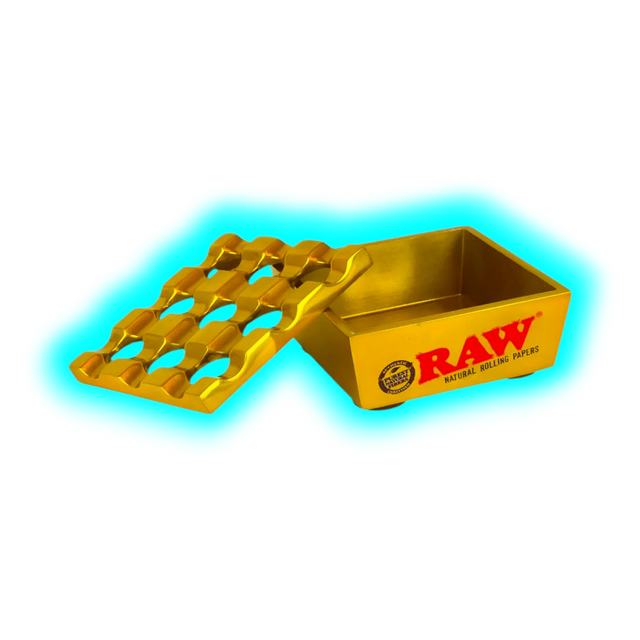 RAW Regal Windproof Ashtray