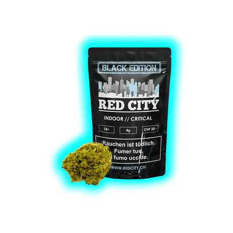 Schwarze ‚Black Edition Red City Indoor // Critical‘ Packung mit einer einzelnen CBD-Blüte und dreisprachigen Warnhinweisen.