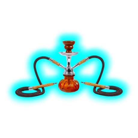 Shisha "Fortuna" Braun 25cm 2 Anschl.