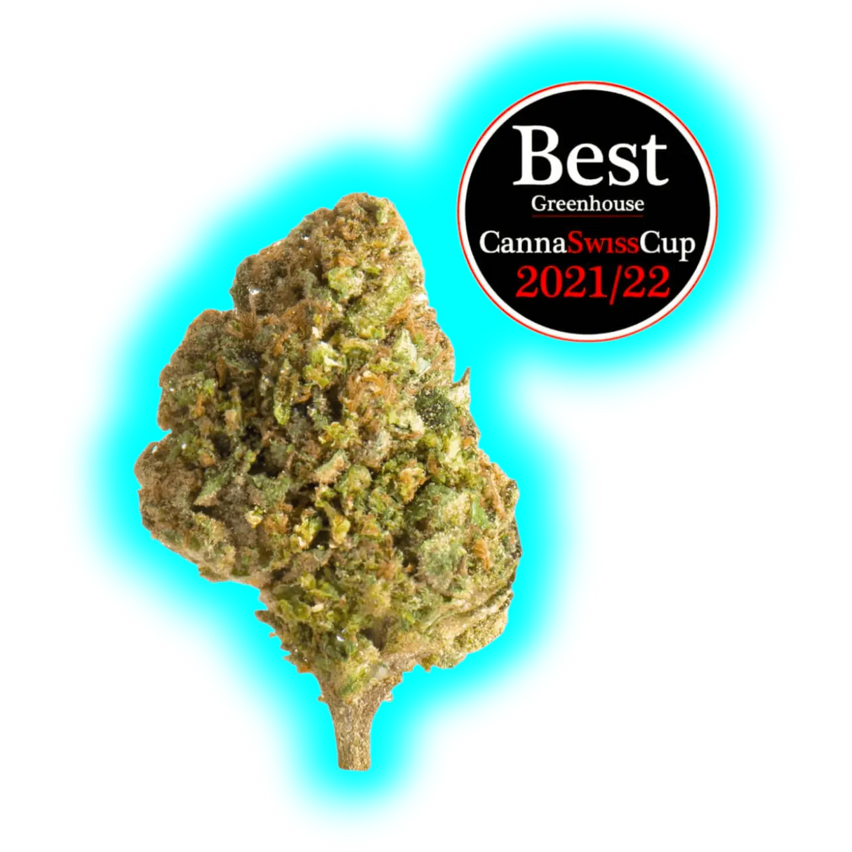 Nahaufnahme eines Cannabisblütenkopfs mit Auszeichnungssiegel "Best Greenhouse CannaSwissCup 2021/22"