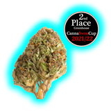 Nahaufnahme eines Cannabisblütenkopfs mit Auszeichnungssiegel für den 2. Platz beim CannaSwissCup 2021/22 in der Kategorie Gewächshaus