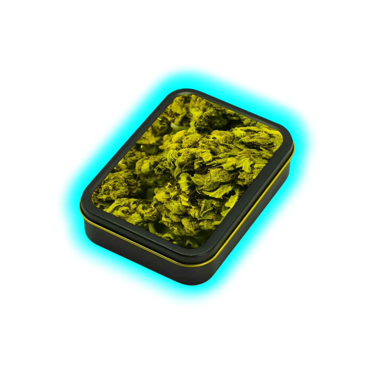 Square Box - Buds