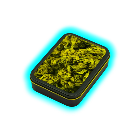 Square Box - Buds