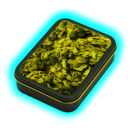 Square Box - Buds