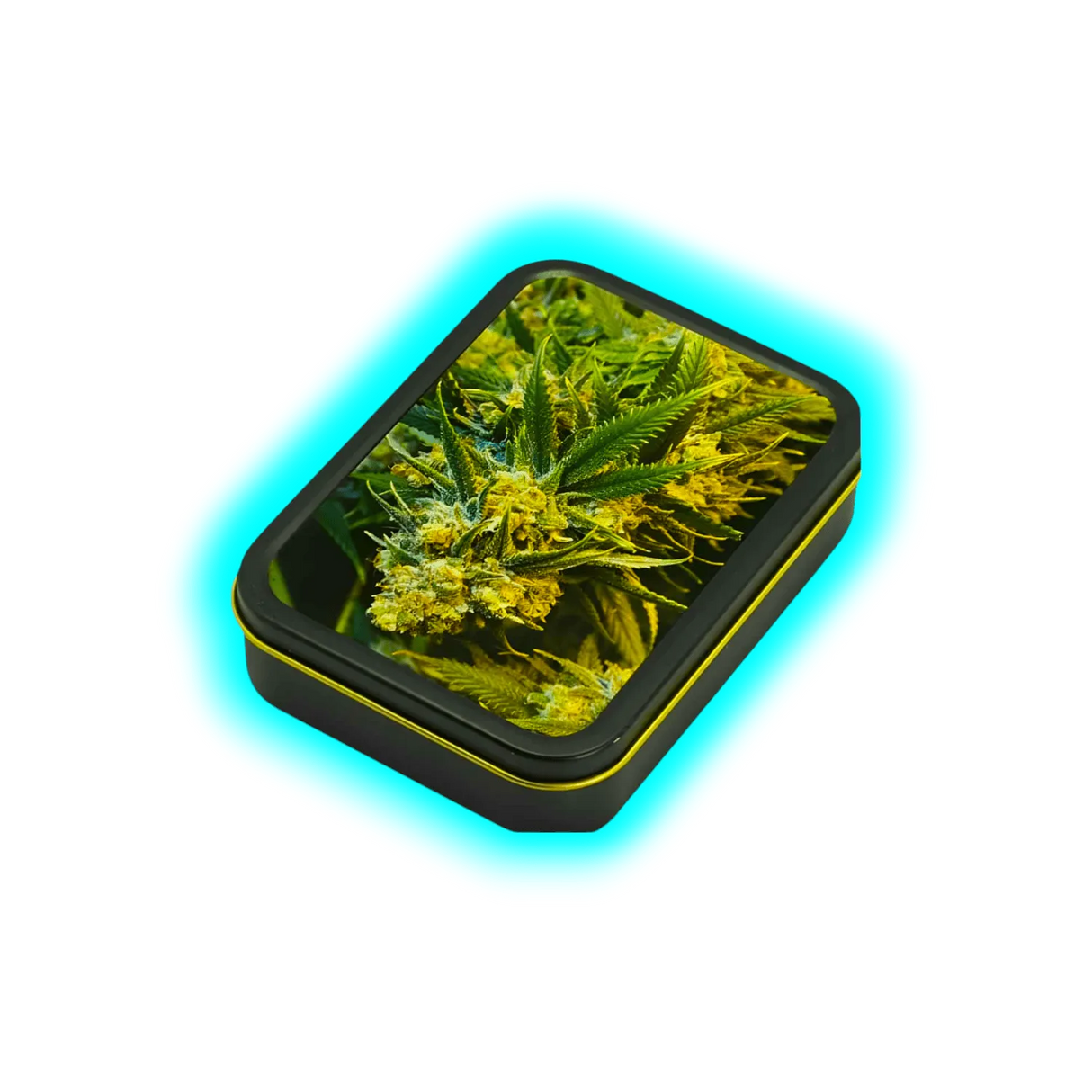 Square Box - Weed