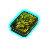 Square Box - Weed