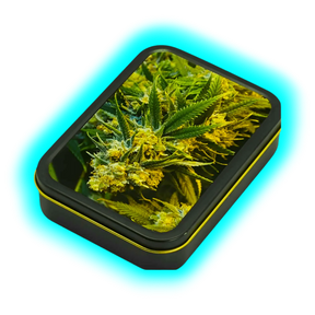Square Box - Weed