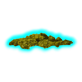 Starbuds Blueberry 15g