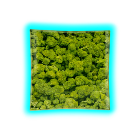 V Syndicate Glass Ashtray Buds