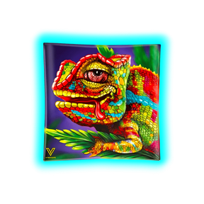 V Syndicate Glass Ashtray Cloud 9 Chameleon