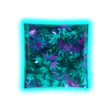 V Syndicate Glass Ashtray Cosmic Chronic