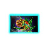 V Syndicate Glastray M Cloud 9 Chameleon 160 x 260mm
