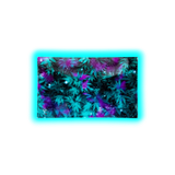 V Syndicate Glastray M Cosmic Chronic 160 x 260mm