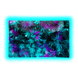 V Syndicate Glastray M Cosmic Chronic 160 x 260mm