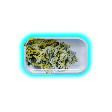 V Syndicate Rolling Tray M Girls Scout Cookies 160 x 270mm