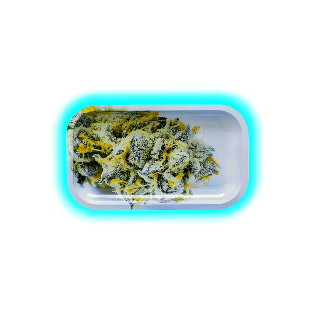 V Syndicate Rolling Tray M Girls Scout Cookies 160 x 270mm