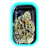 V-Syndicate Rolling Tray M Strain Bubba Kush 160 x 270mm
