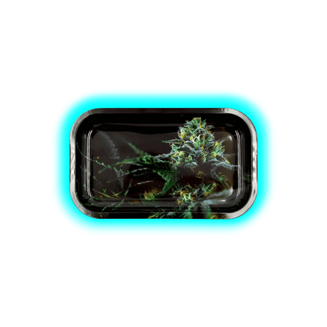V-Syndicate Rolling Tray M Strain O.G. Kush 160 x 270mm