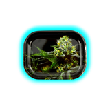 V-Syndicate Rolling Tray S Strain O.G. Kush 140 x 180mm