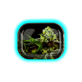 V-Syndicate Rolling Tray S Strain O.G. Kush 140 x 180mm