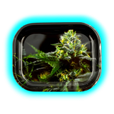V-Syndicate Rolling Tray S Strain O.G. Kush 140 x 180mm