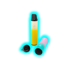 Verstecktresor Einwegvape 2500