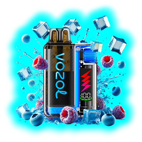 Vozol Vista Plug Starter Kit Blue Razz Ice 20mg