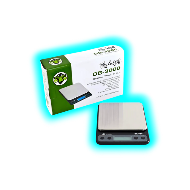 Waage 3000g x 0.1g
